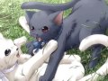Kittehs- Imma Gummi Bear