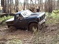Bronco on Boggers Bronco on Boggers