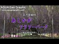 あしかがフラワーパーク(HD1280x720p) あしか