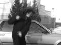 videos de Pain of Love