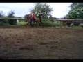 jumping the yellow barrles