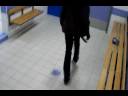 Noobish Shuffle Noobish Shuffle