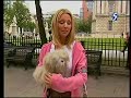 Just For Laugh Gags - Snapping Dog
