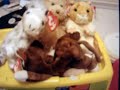 beanie baby street fight