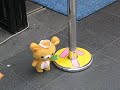 Walking Bear