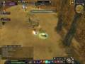 SRO Insanepeople War