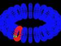 videos de Discontiguous - Fluidic Circular Dimensions (part 5)