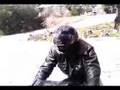  - MovieZen Video