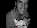 asesino de gatos