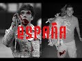 asesino de gatos