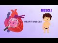 Learn about Human Body Parts For Kids - MUSCLE