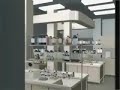 Células Tronco - educativo