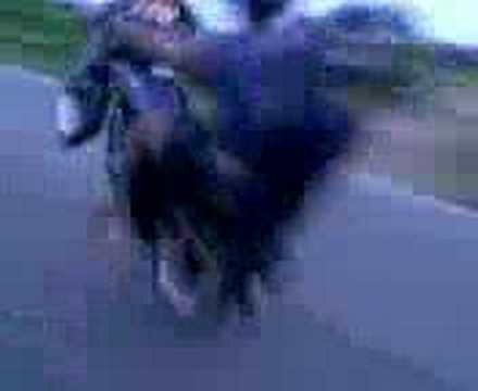 mat rempit