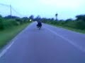mat rempit