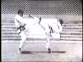 Tae Kwon Do