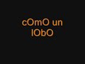 como un lobo