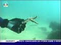 Limpeza Subaquatica - Portinho da Arrabida Limpeza Subaquatica - Portinho da Arrabida