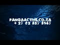 live track from 