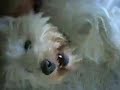 Bailey Haughey Bailey Haughey