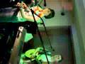 Déjá-vue-Irsee 2