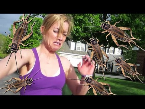 TERRIFYING CRICKET PRANK
