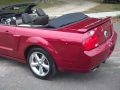 used Ford Mustang GT / CS Gainesville Fl near Jacksonville Ocala