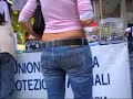 La fiera di Rovigo