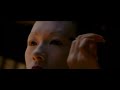 Becoming a Geisha - Memoirs of a Geisha