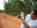 Frilled Lizard capture