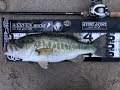 2019年・4月23日　琵琶湖　南湖　インサイドシャッドで50cm