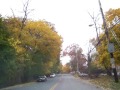 Driving through Greenburgh, NY in the fall