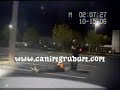 Failing a sobriety test in epic fashion