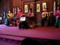 traditional vietnamese music feat. dan bau monochord