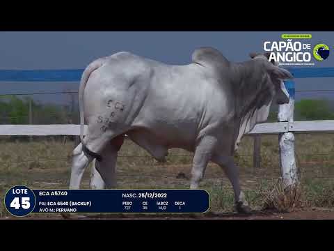 9 De Olho na Fazenda Capo do Angico