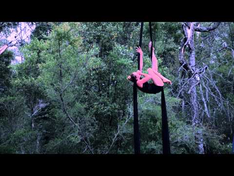 Carnival Chronicles 'Live': Billie Wilson-Coffey - Aerial Silks