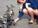 Vogels Vogels