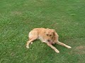 Max\