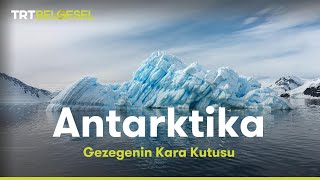 Gezegenin Kara Kutusu: Antarktika  TRT Belgesel