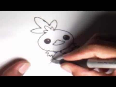 how to draw torchic