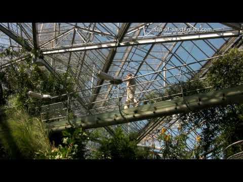 Video Hortus Botanicus - Amsterdam Video Hortus Botanicus - Amsterdam