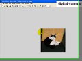 cropping digital photos using MS photo editor