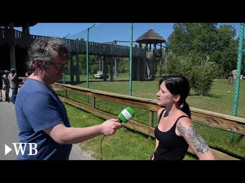 Schlo Holte-Stukenbrock: Geparden-Nachwuchs im Safaripark Stukenbrock