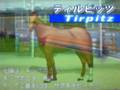 第11回 呉ダービー 決勝出走馬紹介 【ダービースタリオンDS BC】