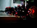 videos de Small fiber optic Christmas tree