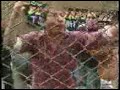 Las Viejas de la molina - RBD 1