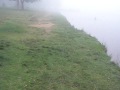 Wentworth Lake - Misty (November 2009)