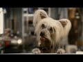 Hund og Kat: Kitty Galores Hævn - 2010 Danske Trailer