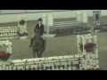 subscribers,horses,hunter