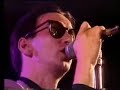 immaculate fools-dumb poet (live)