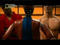 asombroso poder de un golpe karate boxeo taekwondo